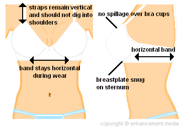 http://www.breastlift4you.com/images/brafitdiagram.gif